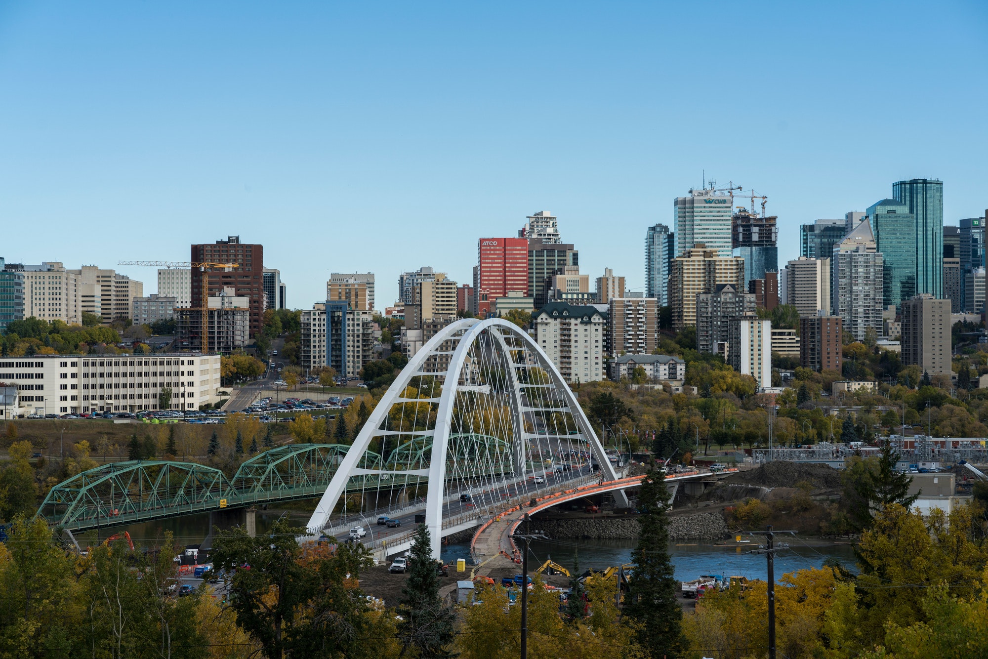 Bird's eye view of trees with a background of the Edmonton cityscape
