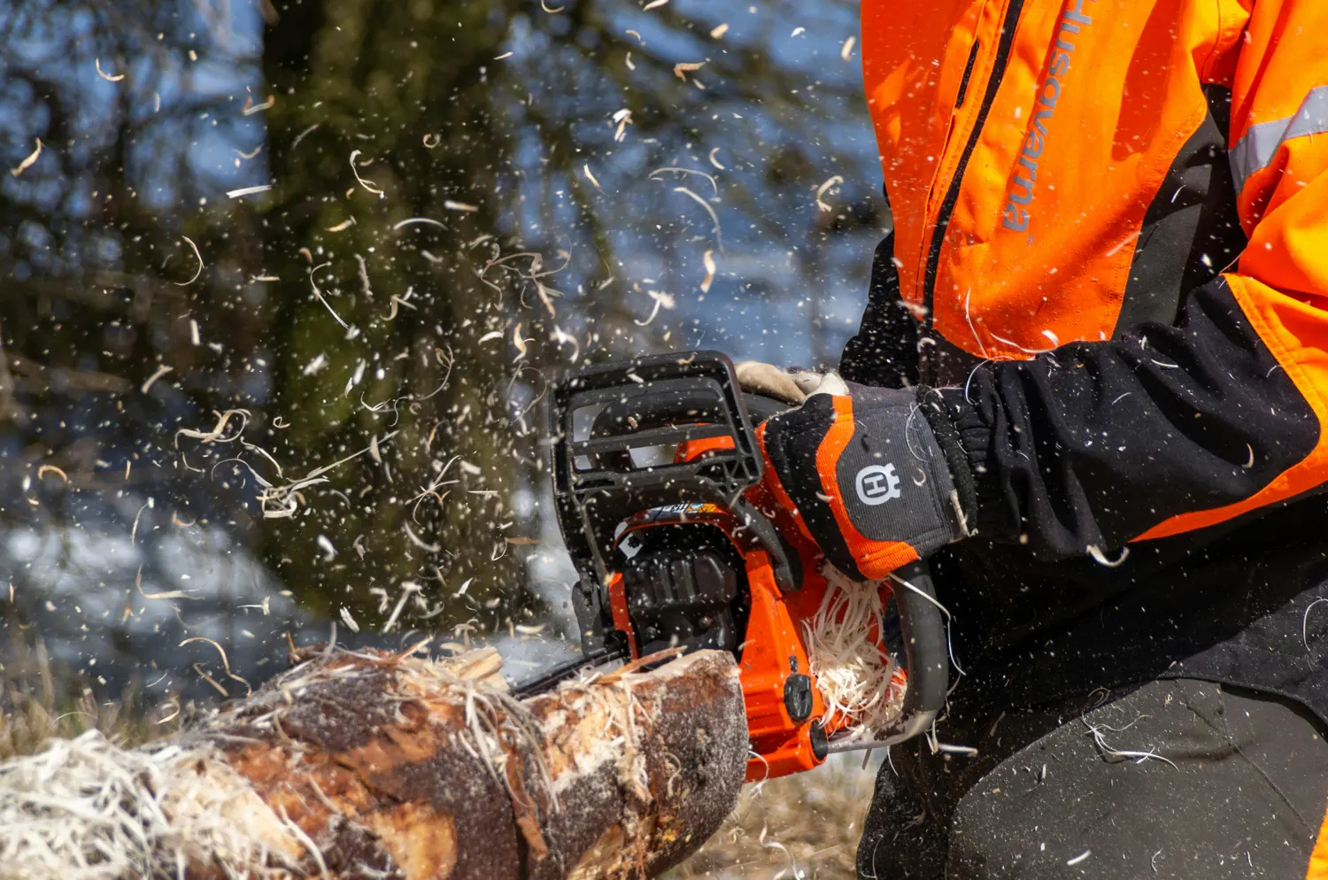 logger sawing log with chainsaw