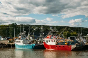Boats in a harbour in New Brunswick, Canada