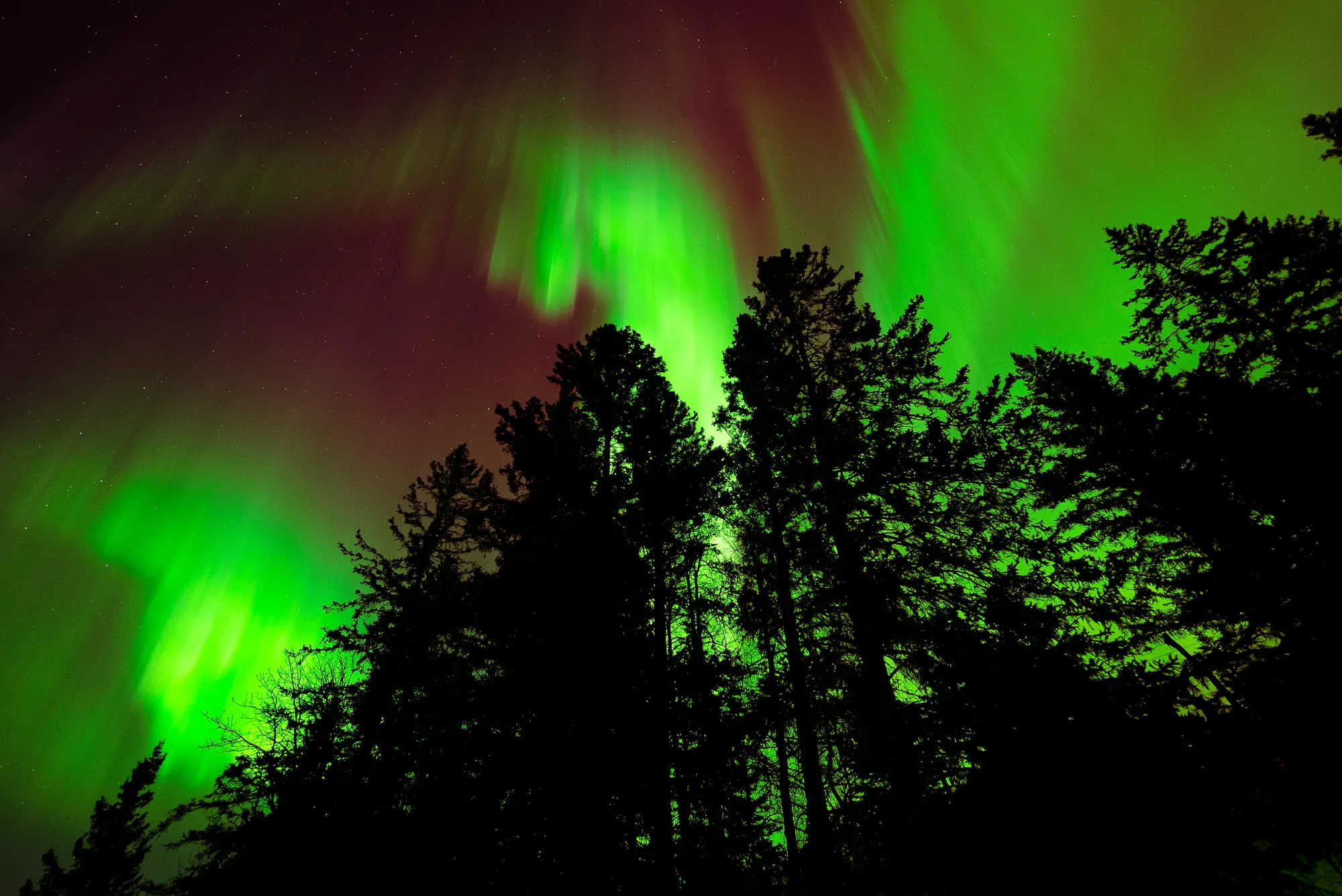northern lights in Canada